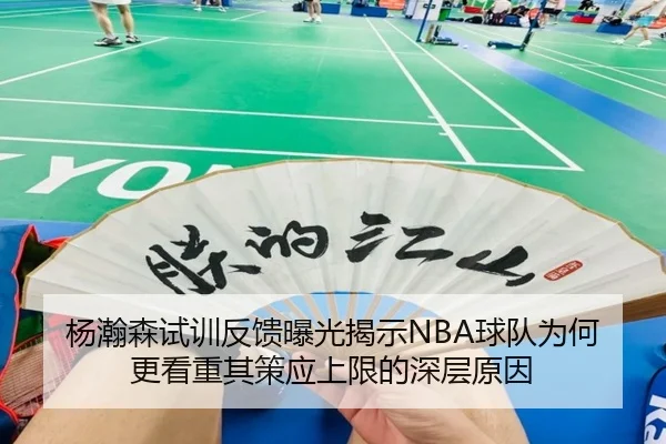 杨瀚森试训反馈曝光揭示NBA球队为何更看重其策应上限的深层原因